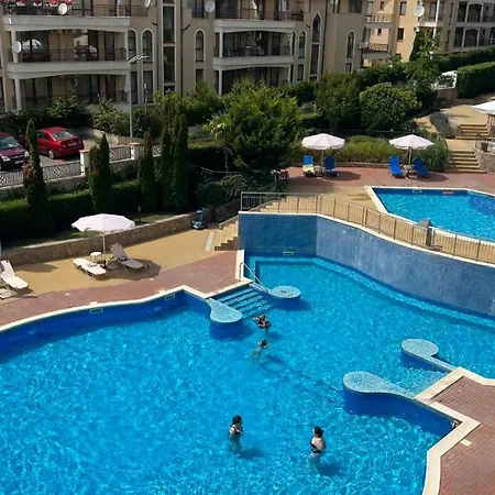 Bratanov Royal Palm